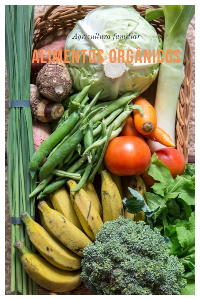 alimento-organico-agricultura-familiar