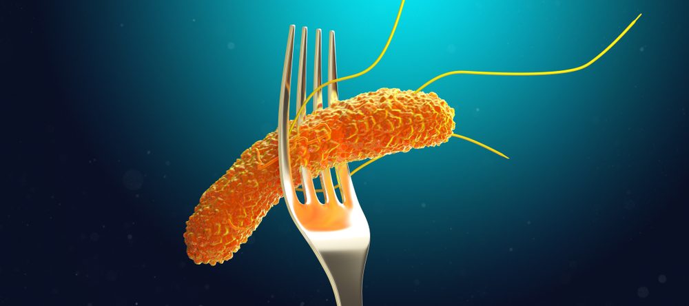 salmonella frango brasil