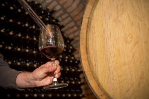 vinho vinhedo